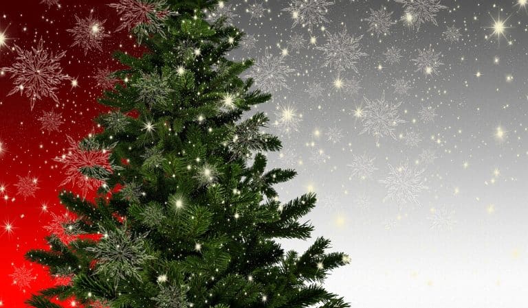 La meilleure manière de ranger son sapin de Noël