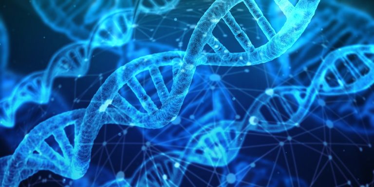 L’élimination de la peur repose sur un changement inhabituel de l’ADN