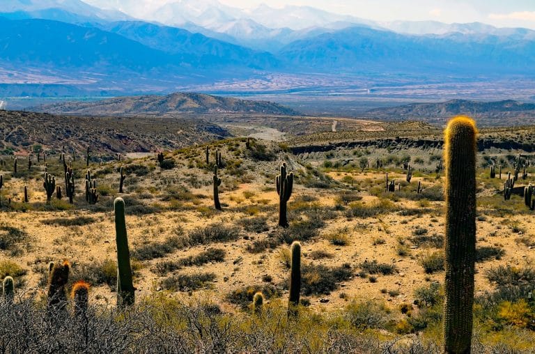 L’Argentine, une destination aux multiples facettes