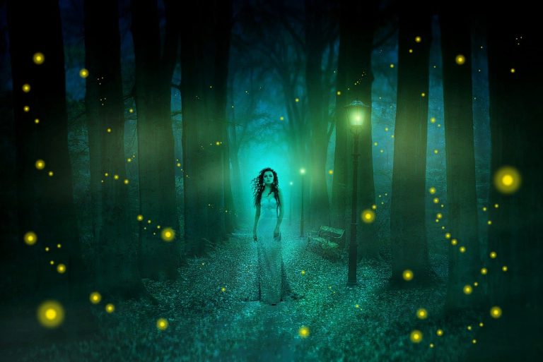 Des chasseurs de fantômes entendent des appels à l’aide du spectre d’une jeune fille en robe blanche