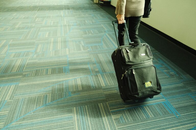 Une feuille dans la valise, la parade de voyageurs contre les bagages égarés