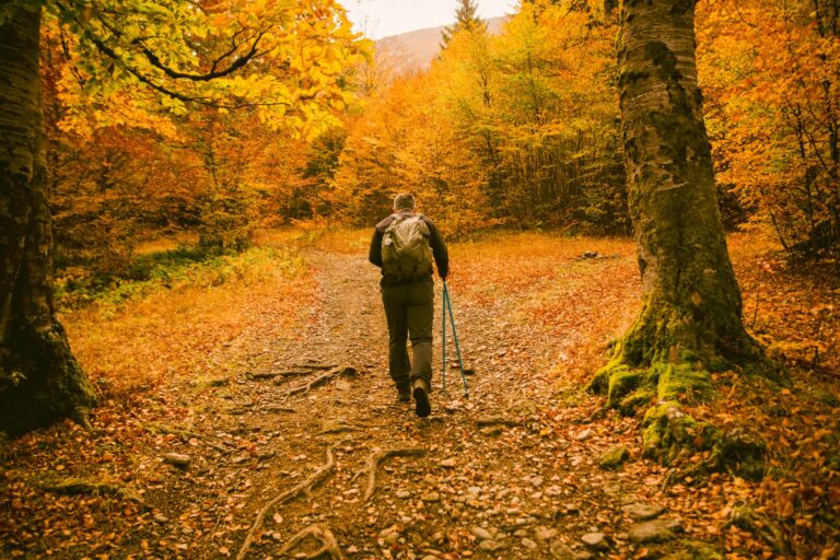 Six balades nature en automne accessibles sans voiture
