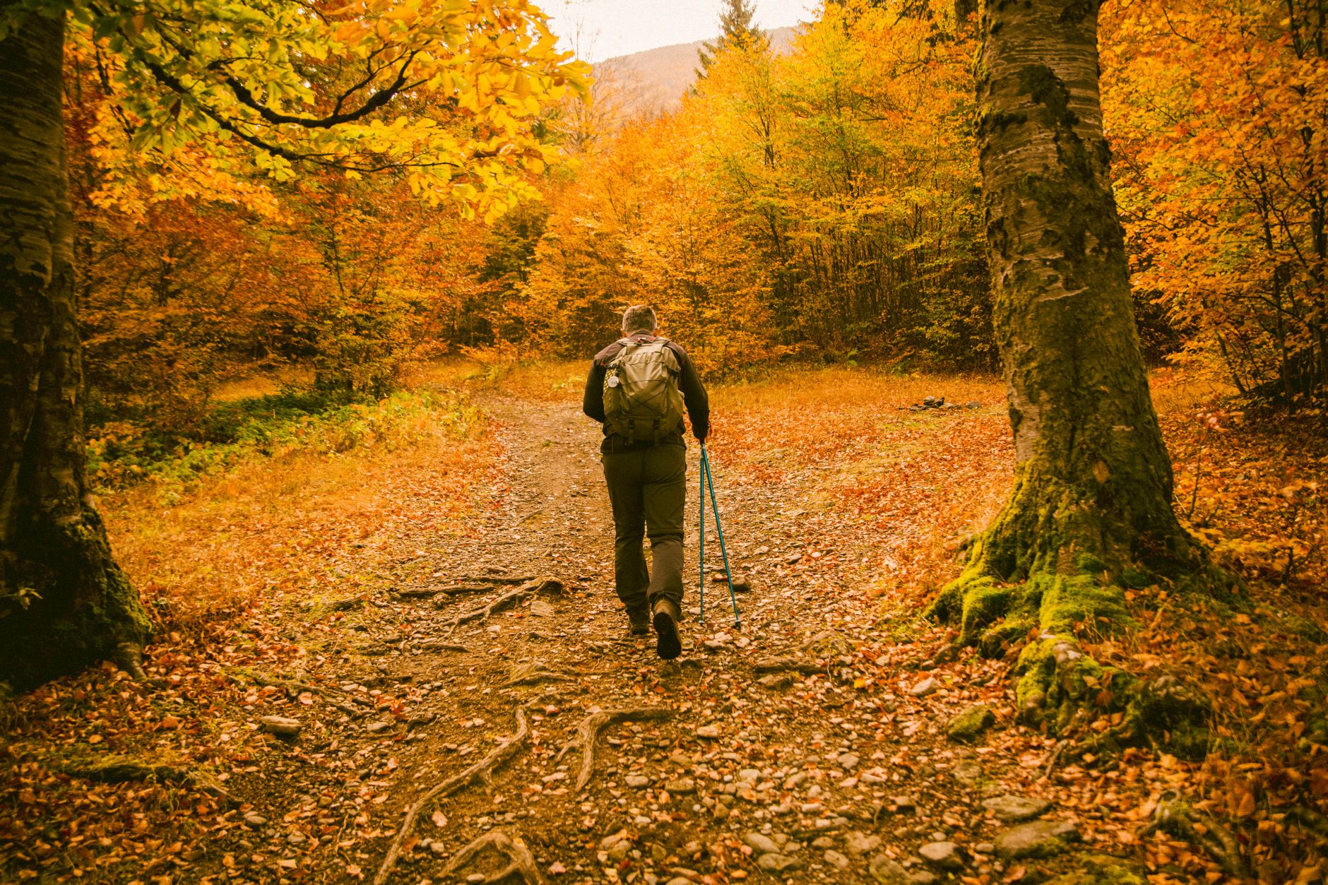 Six balades nature en automne accessibles sans voiture